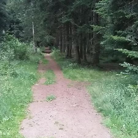 Apartmán Belle Vue Gelles Exteriér fotografie